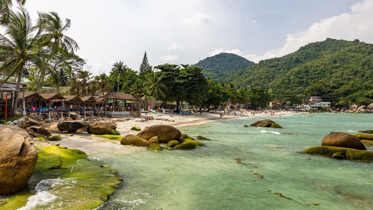 شات جي بي تي